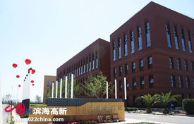 政策利好振翅高飞，天津七成软企汇聚滨海新区领航软件外包