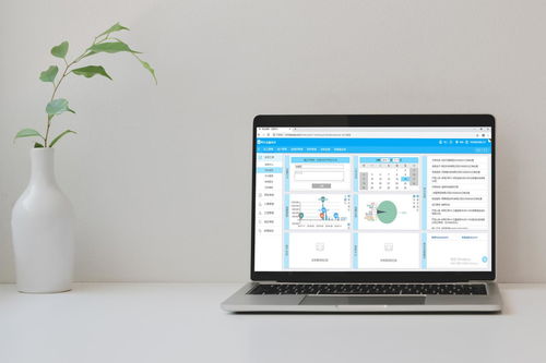 免费装修管理软件靠谱吗？——兼谈软件外包服务的优势与选择