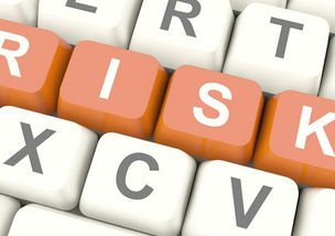 软件开发外包 风险管理不可忽视的关键环节