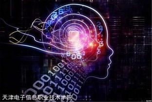 迈向国际高端服务业的桥梁——国家示范校央财支持重点建设专业“软件外包服务”建设综述