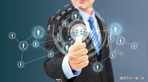 软件人员外包 企业数字化转型的明智选择